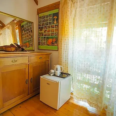 Grab Ethno Village And Camp 4* Podgorica